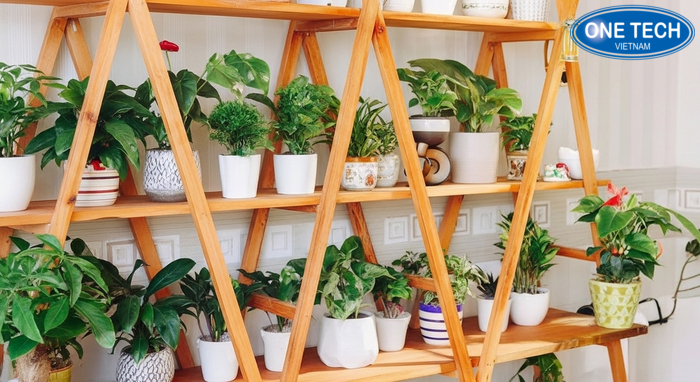 Ưu điểm kệ trưng bày cây cảnh chất lượng cao Chi tiết khung kệ chắc chắn và khoảng cách tầng hợp lý cho cây